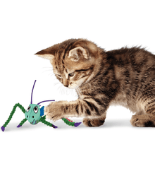 Kong Kong - Crackles Grasshopper With Catnip