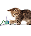 Kong Kong - Crackles Grasshopper With Catnip