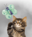 Kong Kong - BetterBuzz Butterfly