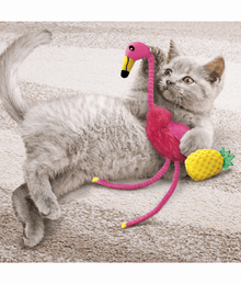 Kong Kong - Tropics Flamingo