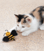 Kong Kong - Better Buzz Bee