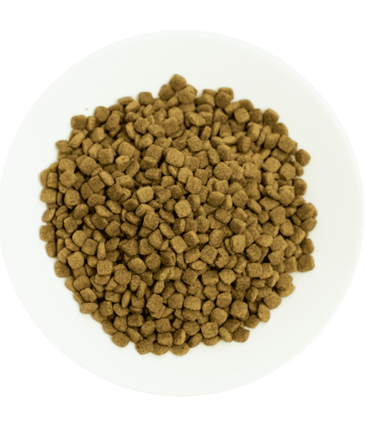 Prochoice - Pro 32 Chicken & Rice Sterilized Hypoallergenic 2kg-15kg