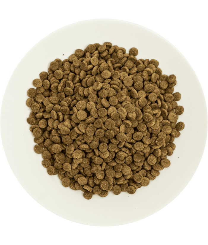 Prochoice - Pro 33 Salmon & Shrimp Sterilized Hypoallergenic 2kg-15kg