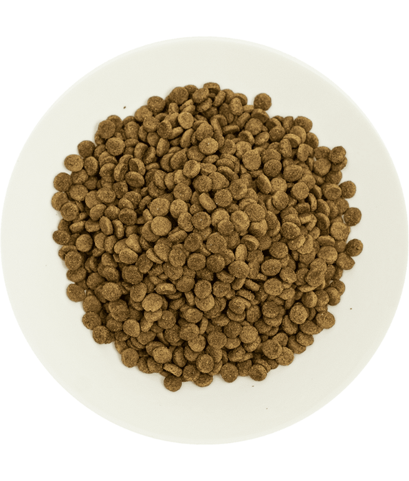 Prochoice - Pro 33 Salmon & Shrimp Sterilized Hypoallergenic 2kg-15kg