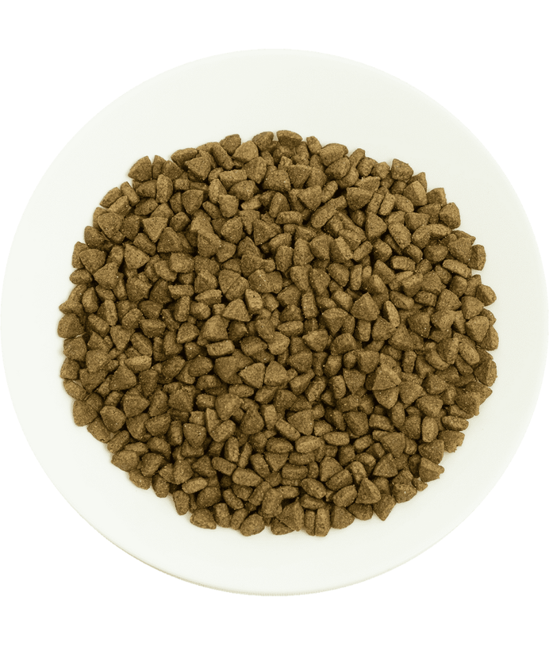 Prochoice - Pro 34 Salmon & Rice Hypoallergenic For Adult Cats 2kg-15kg