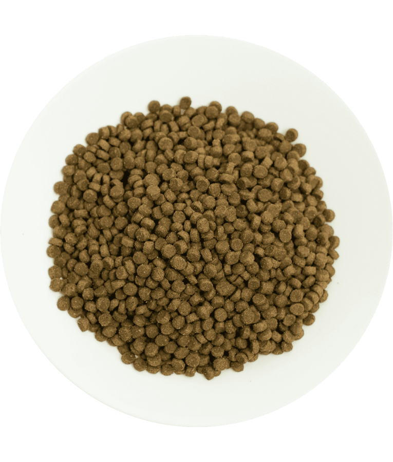 Prochoice - Pro 38 Lamb & Rice Hypoallergenic For Kittens 2kg
