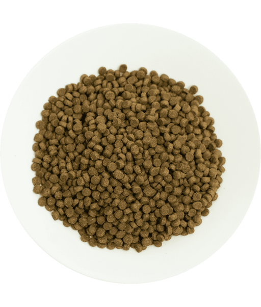 Prochoice - Pro 38 Lamb & Rice Hypoallergenic For Kittens 2kg Prochoice