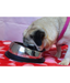 Trixie - Stainless Steel Feeding Bowl For Short-Nosed Breeds Trixie