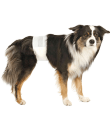 Trixie Trixie - Diapers For Male Dogs