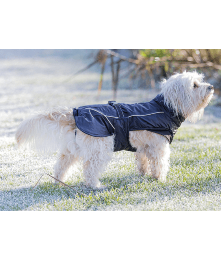 Trixie - Brizon Winter Coat For Dogs