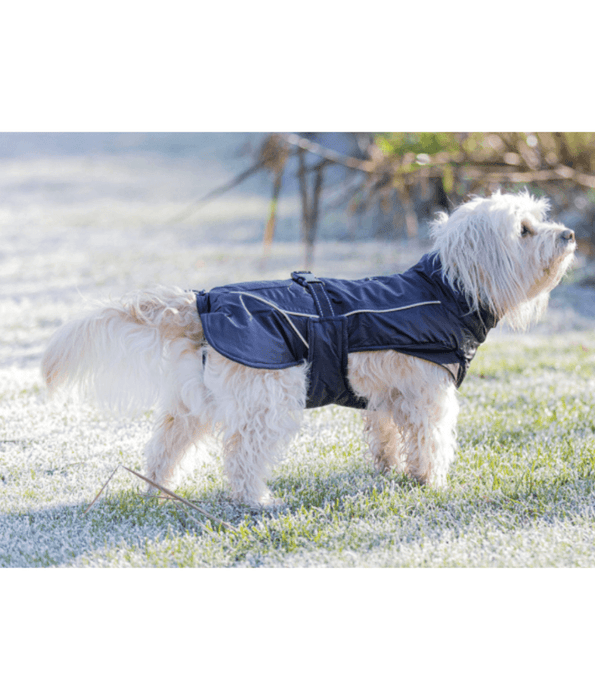 Trixie dog shop coat
