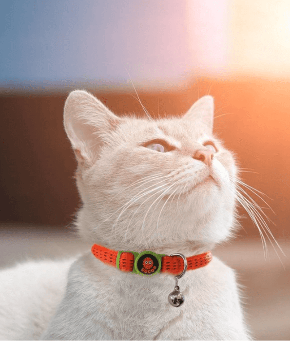 DOCO - Puffy Furbal Nylon Cat Collar Red Doco