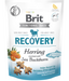Brit Care Dog Functional Snack Recovery Herring 150g Brit Care