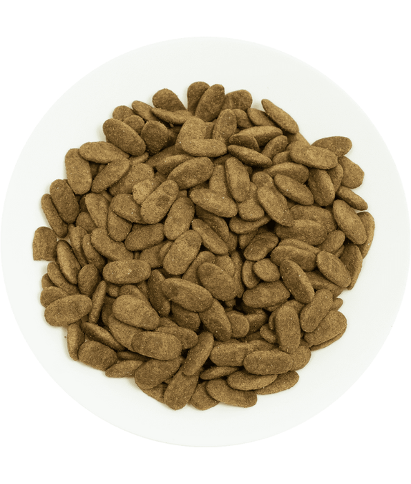 Prochoice Prochoice - Proderma Lamb & Rice 18kg