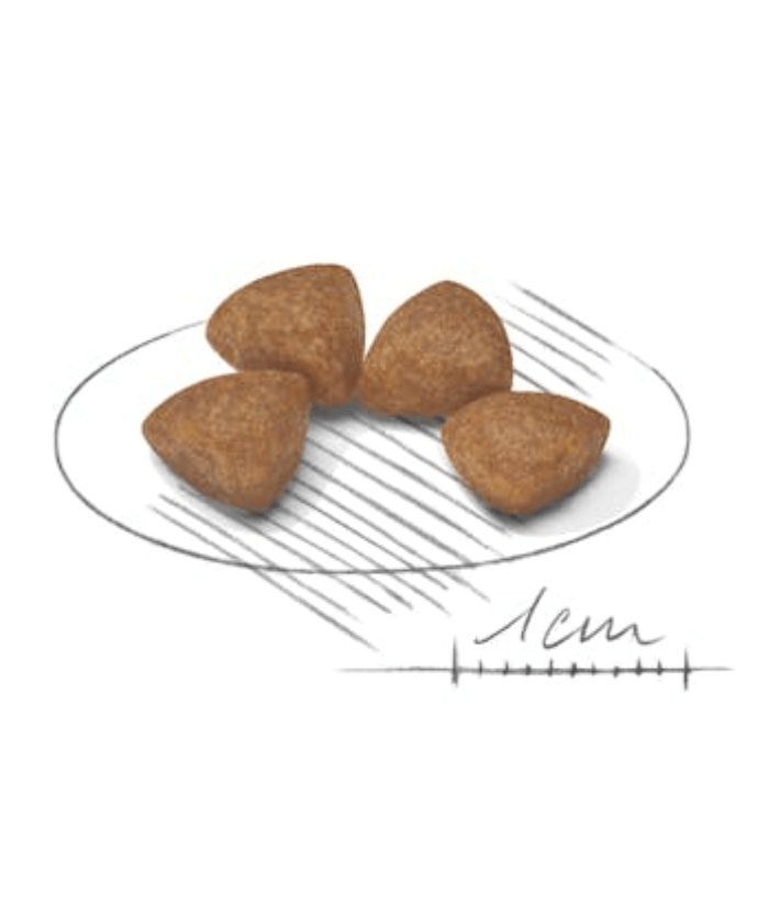 Royal Canin X-Small Puppy 1.5kg