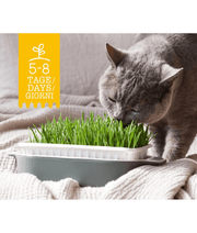 GimCat Hydro Gras - 150g