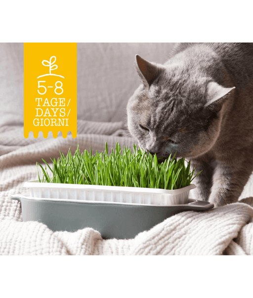GimCat Hydro Gras - 150g