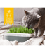 GimCat Hydro Gras - 150g
