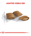 Royal Canin Royal Canin Cat Ageing +12 2kg