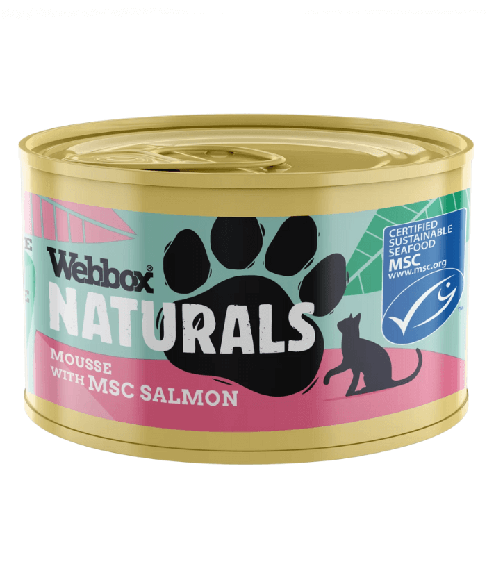 Webbox Natural