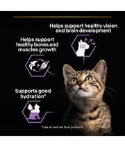 Purina Pro Plan Kitten, Wet Cat Food, Turkey in Gravy 85g