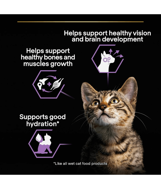 Purina Pro Plan Kitten, Wet Cat Food, Turkey in Gravy 85g