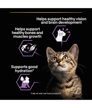 Purina Pro Plan Kitten, Wet Cat Food, Turkey in Gravy 85gx10