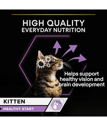 Purina Pro Plan Kitten, Wet Cat Food, Turkey in Gravy 85g