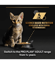Purina Pro Plan Kitten, Wet Cat Food, Turkey in Gravy 85g