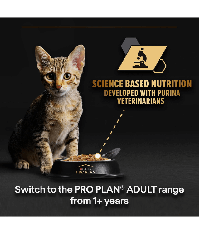 Purina Pro Plan Kitten, Wet Cat Food, Turkey in Gravy 85g