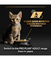 Purina Pro Plan Kitten, Wet Cat Food, Turkey in Gravy 85gx10