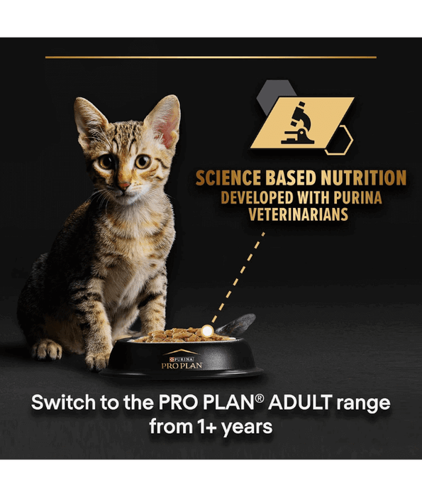 Purina Pro Plan Kitten, Wet Cat Food, Turkey in Gravy 85gx10