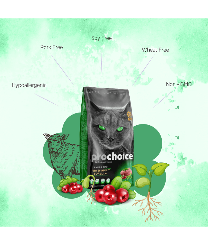 Prochoice - Pro 36 Lamb & Rice Hypoallergenic For Adult Cats 2kg-15kg