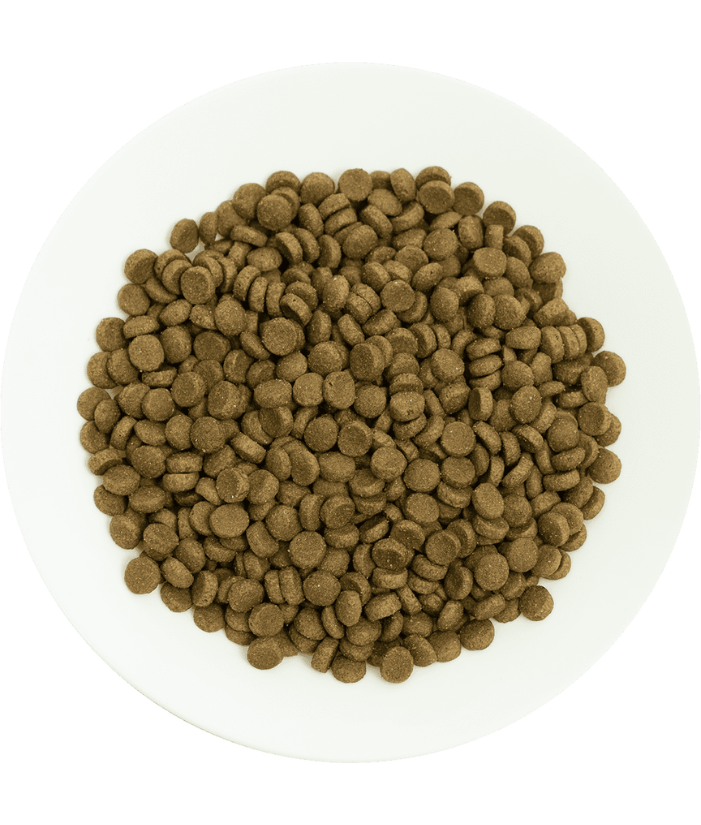 Prochoice - Pro 36 Lamb & Rice Hypoallergenic For Adult Cats 2kg-15kg