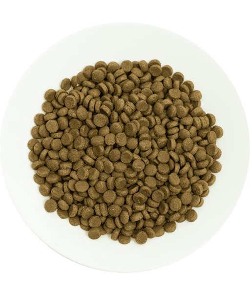 Prochoice - Pro 36 Lamb & Rice Hypoallergenic For Adult Cats 2kg-15kg