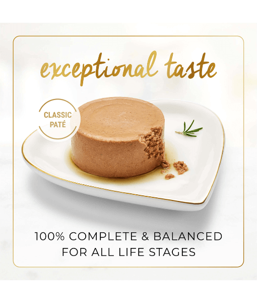 Purina Fancy Feast - Classic Paté Gravy Lovers Gourmet Cat Food – Savoury Salmon, All Life Stages – 4x85g on a plate.