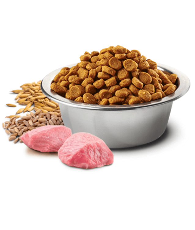 Farmina - N&D Ancestral Grain, Lamb and Blueberry Adult Cat Dry Food 1.5kg