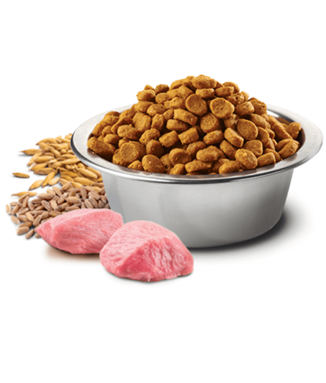 Farmina - N&D Ancestral Grain, Lamb and Blueberry Adult Dry Dog Food For Mini and Small Breeds 2.5kg