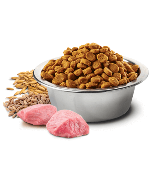 Farmina - N&D Tropical Selection, Pork and Tropical Fruits Adult Dry Dog Food For Medium & Maxi Breeds 10kg