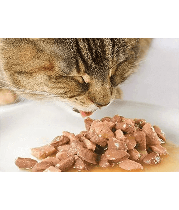 Farmina Farmina N&D Prime Lamb & Blueberries Grain Free Wet Cat Food 70g