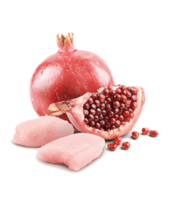 Farmina - N&D Prime, Chicken and Pomegranate Grain Free Adult Wet Cat Food In Broth 70g