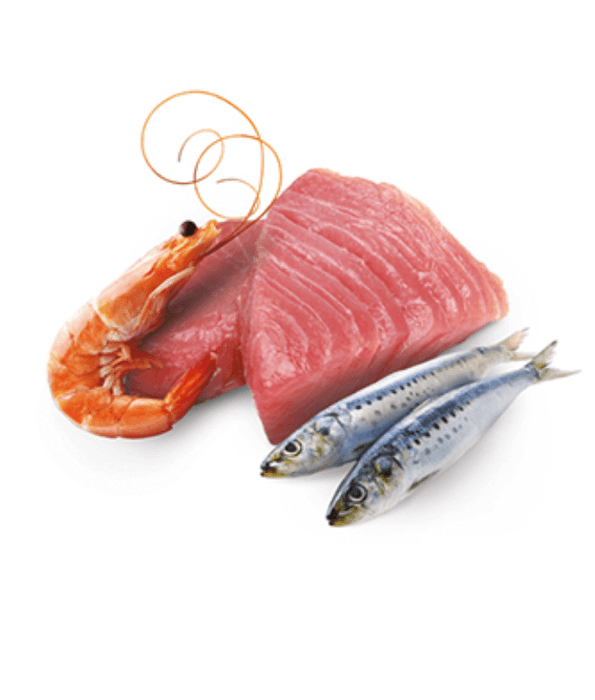 Farmina Farmina N&D Ocean With Tuna, Sardines, & Shrimps Grain Free Wet Cat Food 70g