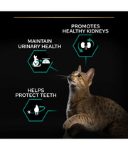 Purina Pro Plan Sterilised Adult Renal Plus Dry Cat Food with Turkey 1.5 Kg