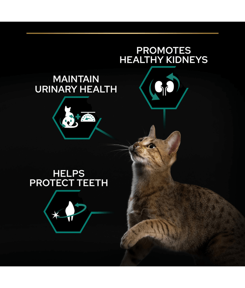 Purina Pro Plan Sterilised Adult Renal Plus Dry Cat Food with Turkey 1.5 Kg