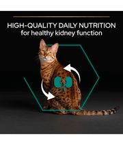 Purina Pro Plan Adult Renal Plus Everyday Dry Cat Food with Chicken 1.5kg