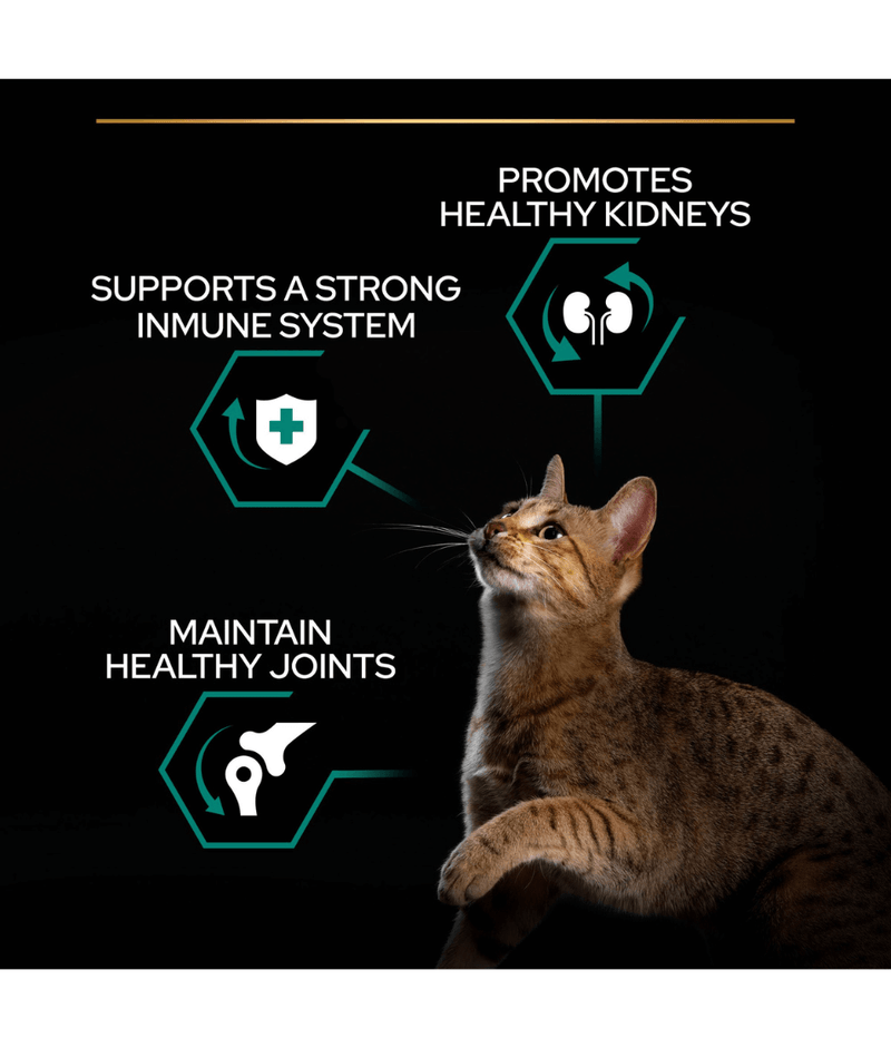 Purina Pro Plan Adult Renal Plus Everyday Dry Cat Food with Chicken 1.5kg