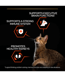 Pro Plan Purina Pro Plan Adult Vital Functions Everyday Dry Cat Food with Salmon 1.5kg