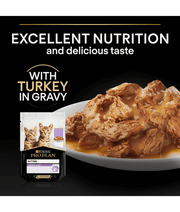 Purina Pro Plan Kitten, Wet Cat Food, Turkey in Gravy 85g