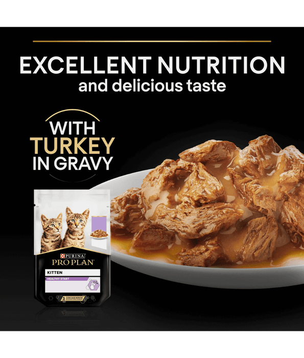 Purina Pro Plan Kitten, Wet Cat Food, Turkey in Gravy 85gx10