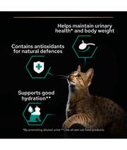 Purina Pro Plan Sterilised Wet Cat Food, Beef in Gravy, 85g